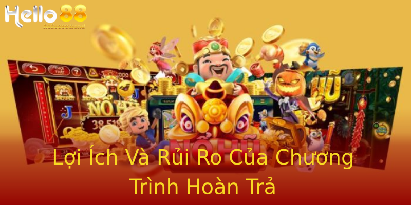 Lợi Ích Và Rủi Ro Của Chương Trình Hoàn Trả Lợi Ích Và Rủi Ro Của Chương Trình Hoàn Trả
